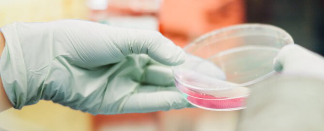 PROSENSO BIODEGRADABLE WITH CHEMICALS