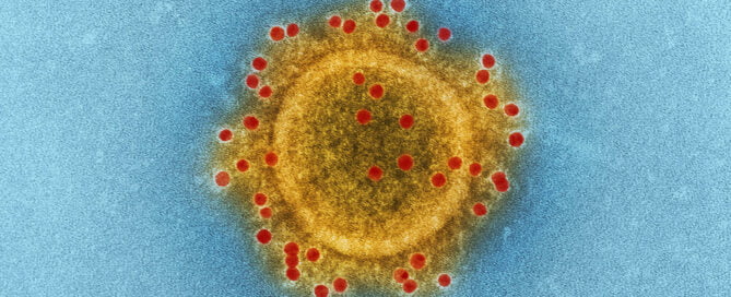 Bioburden on nitrile gloves